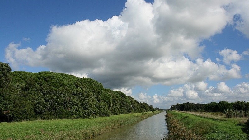 Da Piazza di Siena, ai ‘Pratoni’ e le oasi WWF: la svolta Green della FISE è diventata un modello di sostenibilità