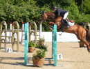 John Whitaker GBR - Green Grass Ph Simone Ferraro SFA03142 copia