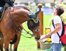 220526 196 MAG foto Simone Ferraro - Sport e Salute SFZ_5528 copia