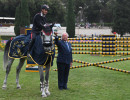 220528 260 Six Bars foto Simone Ferraro - Sport e Salute SFZ_1476 copia