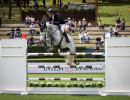 3 michael greeve  c  massimo argenziano