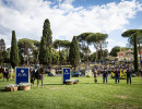 prize giving  c  massimo argenziano