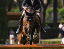 1 riccardo pisani