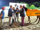 Polo Podio Miglior Cavallo Ph Simone Ferraro SFA09491 copia