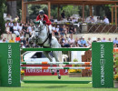 mex carlos hank guerreiro