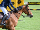 220528 018 KEP Robin Muhr ISR - Baccarat Meniljean foto Simone Ferraro - Sport e Salute SFZ_9992 copia