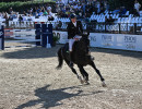 2 joseph stockdale gbr equine rescue services kandleford a