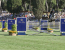 1 giacomo bassi
